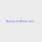 Agence immobiliere bureau d\'affaire anis